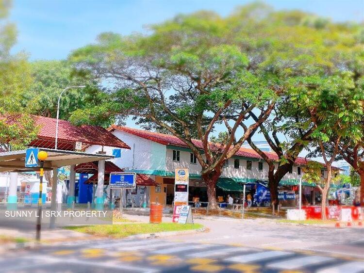 SIMS VISTA Next to Market and MRT (D14), Shop House #638190801